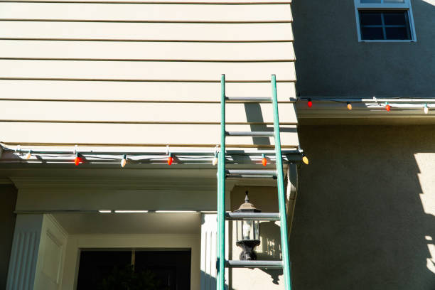 Best Carpet Removal and Disposal  in Harlem Heights, FL